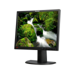 Lenovo ThinkVision L1900PA 19” LCD Monitor